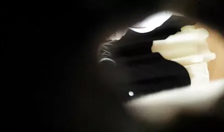 Mẹ mô hình khiêu dâm say đắm, cưỡi trên con cavalier phim sex nhat ban thuyet minh