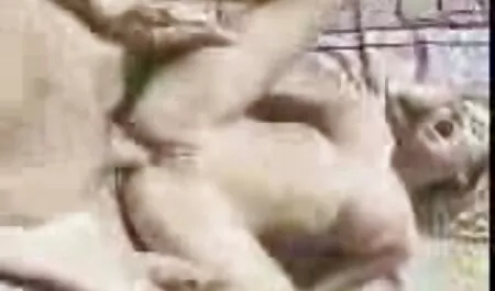 Cô phim sex phụ đề nhật bản gái tóc vàng chấp nhận một đam mê hậu môn giả rodeo